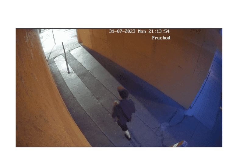 Neznámý pachatel za večer poškodil 30 automobilů. Policie hledá svědky