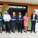 Bazalka se rozšiřuje 4