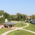 Bazalka se rozšiřuje 8