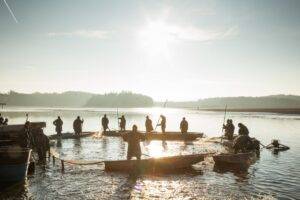 Budějovicko_výlov-min