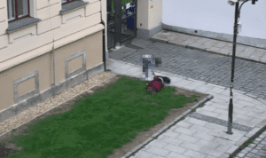 kradeznaspicimmuziii