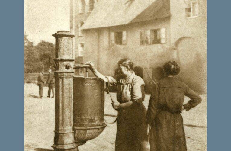 Ve výstavní síni českobudějovické radnice právě probíhá výstava Voda pro život i pro radost, a to až do 31. ledna