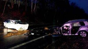 nehoda borsov leden-min