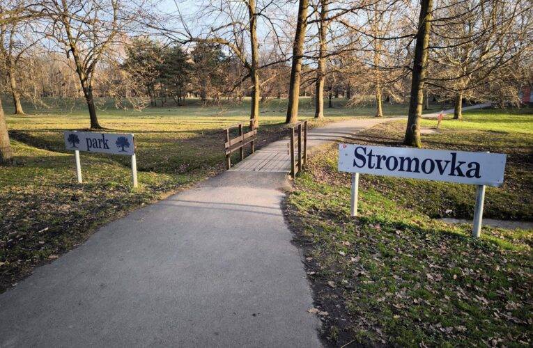 Prosba pejskařům ve Stromovce: pomozme chránit březí srny
