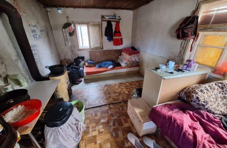 Tři děti žily v chatce v Hluboké nad Vltavou, do školy nechodily a myly se v potoce. Sociální pracovnice děti matce odebrala