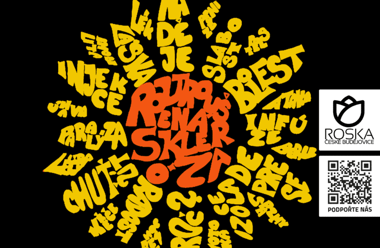 Záplava slunečnic již potřinácté rozsvítí České Budějovice