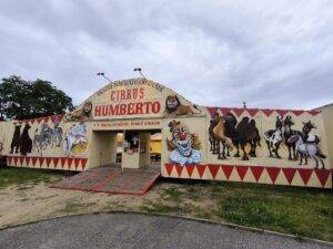 Soutěž o lístky na Cirkus Humberto v Českých Budějovicích Cirkus Humberto cb maj