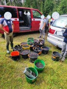 sberaci boruvek 4-min