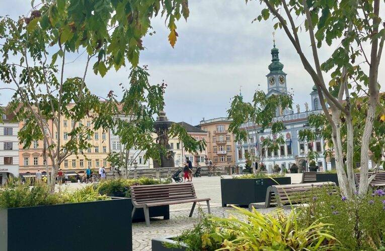 Darujte Českým Budějovicím strom a dejte mu jméno