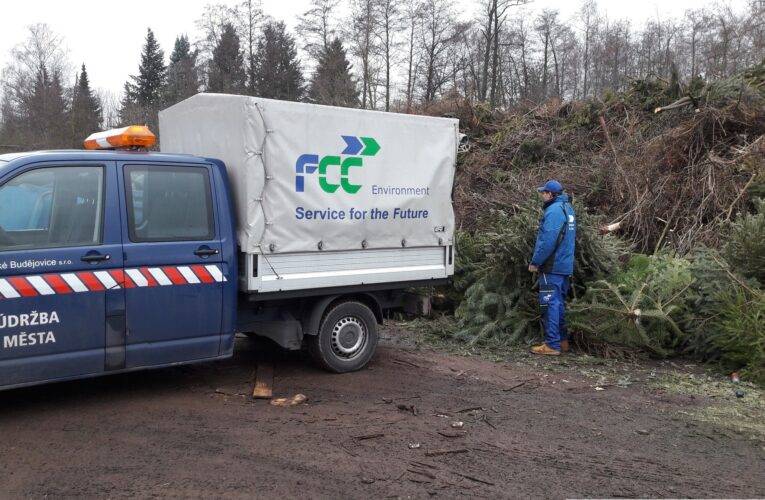 Svoz vánočních stromků už začal – harmonogram