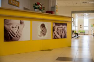 Recepce porodnice a neonatologie-min