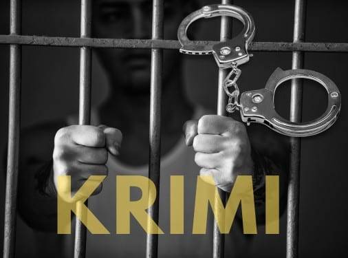 Zlodějská hyena dopadena