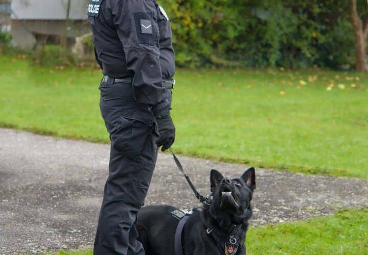 Českobudějovická městská policie zavítala s ukázkou služební kynologie do mateřské školy K. Šatala