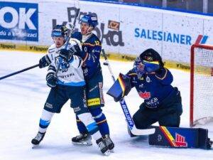 motor liberec 2025-min