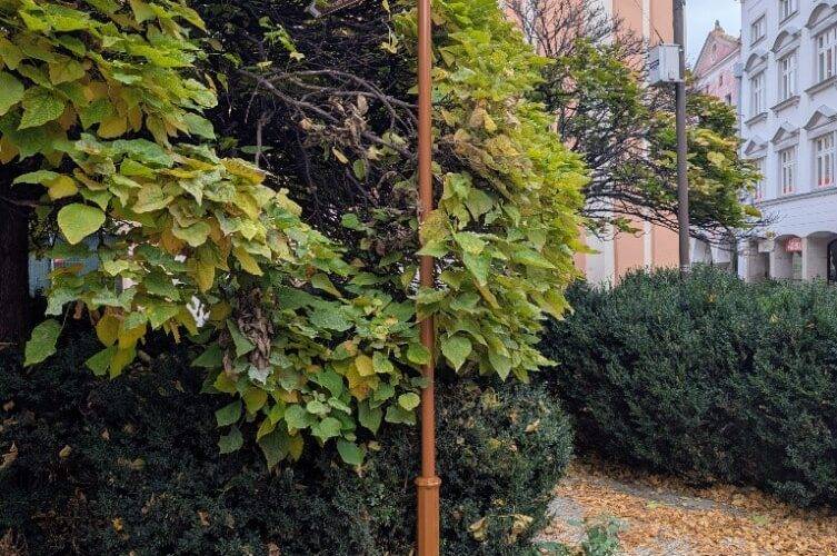 Označníky směru budou v Českých Budějovicích zářit novotou