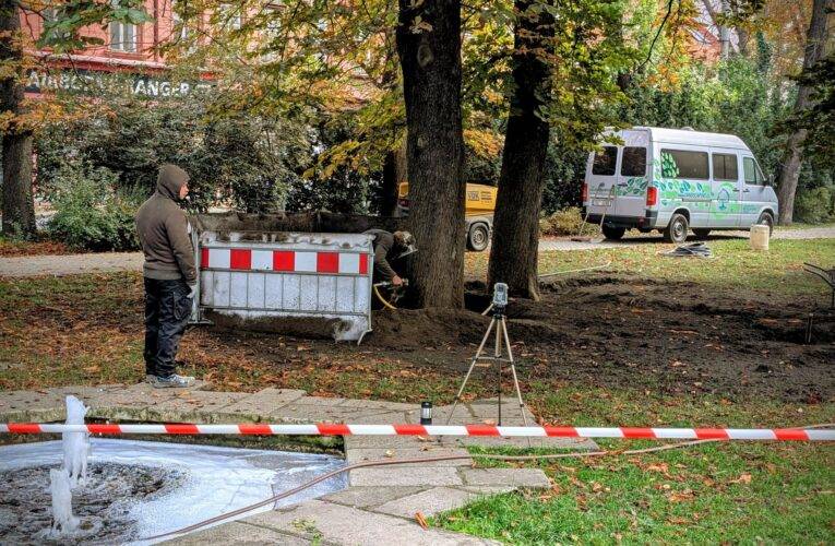 Na Sadech v Českých Budějovicích ozdravují stromy