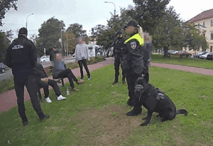 snimekobrazovky2025-10-07110823-15