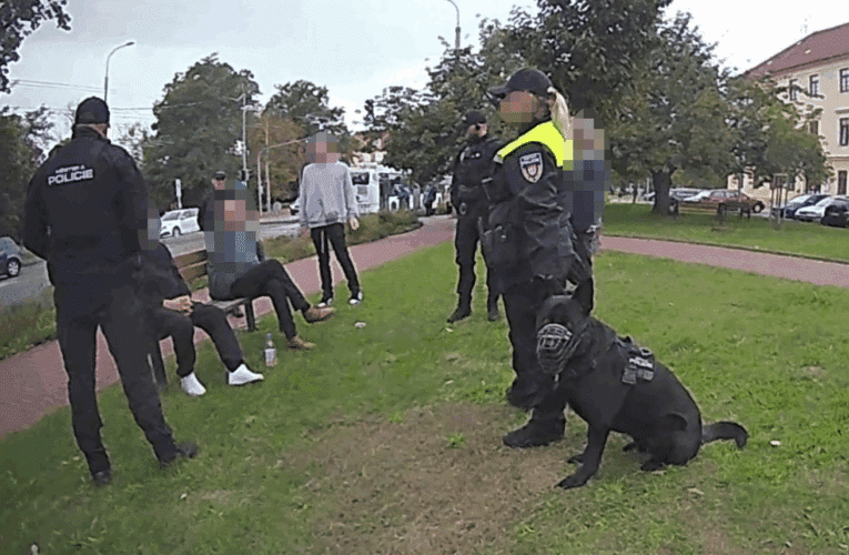 Potyčku ukončila v pondělí odpoledne hlídka městské policie se služebním psem