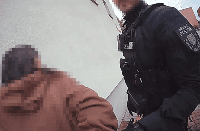 Řádění šestatřicetileté ženy museli strážníci zabránit omezením na osobní svobodě. Čeká ji obvinění z několika přečinů.