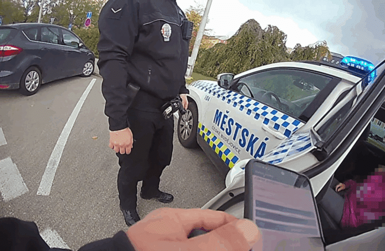 Seniorka se ztratila na nákupech ve městě. Strážníkům městské policie se podařilo ji vypátrat během několika minut.