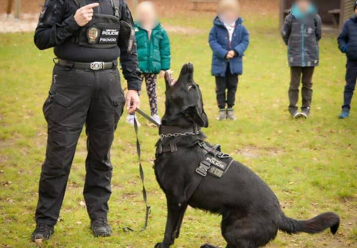 Městská policie se představila s ukázkou kynologie v ZŠ Nerudova