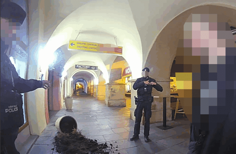 Mladému muži vandalský kousek neprošel, jeho počínání sledovala městská kamera