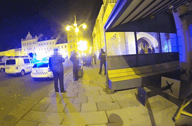 Osmnáctiletá žena se po nevydařeném večírku mstila na cizím majetku. Skončila v poutech strážníků