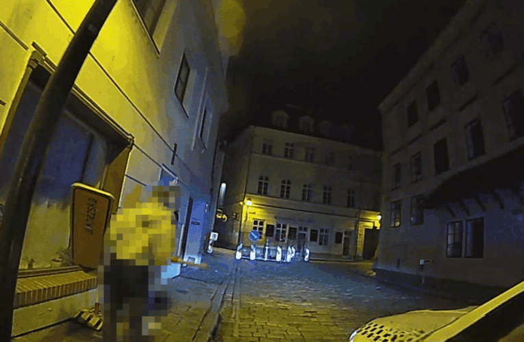 Dvaadvacetiletý muž si z večírku odnášel suvenýr v podobě dopravní značky. Strážníkům neunikl