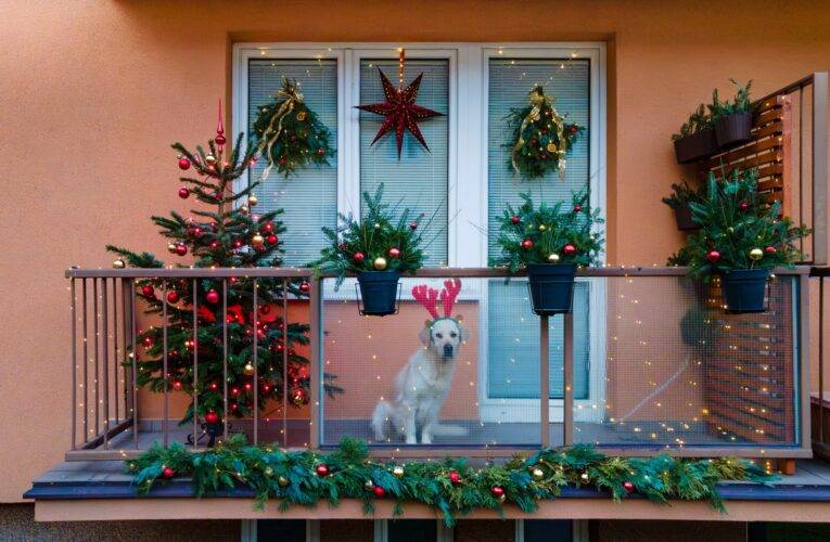 Soutěž o nejkrásnější vánoční výzdobu v Českých Budějovicích začala