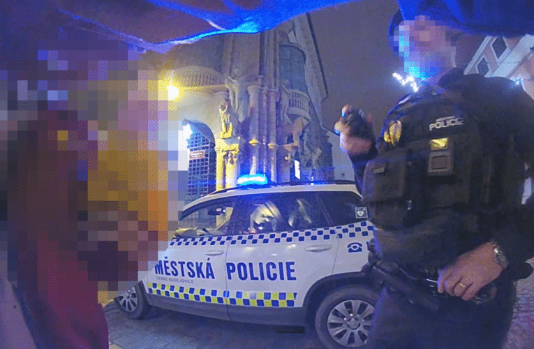 Kouzelnická hůlka byla na hlídku městské policie krátká