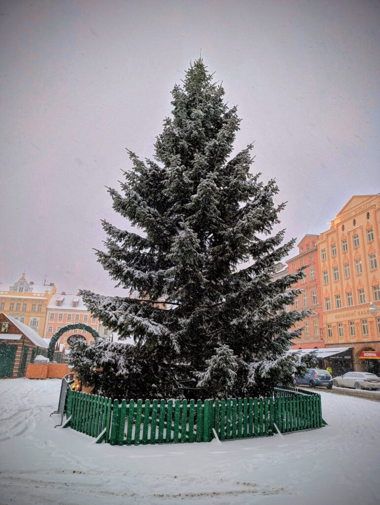 Vánoční krasavec zmizí z náměstí v pondělí 12. ledna