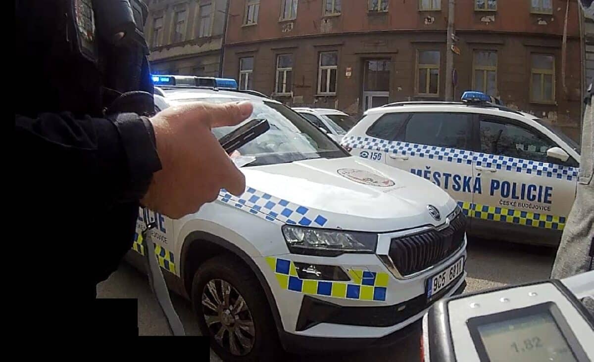 Hlídka městské policie zastavila řidičku za dopravní přestupek. Strážníci se nestačili divit