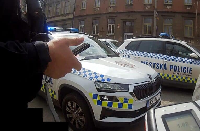 Hlídka městské policie zastavila řidičku za dopravní přestupek. Strážníci se nestačili divit