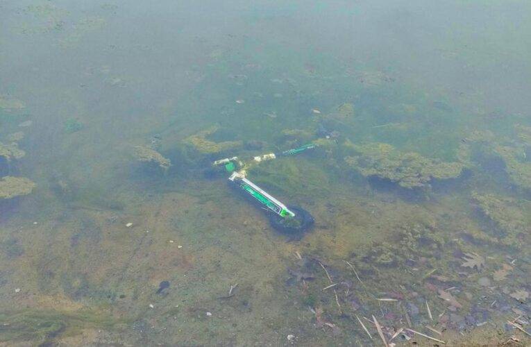 Nepochopitelný čin neznámého vandala. Hlídka městské policie musela z rybníka lovit elektrickou koloběžku.