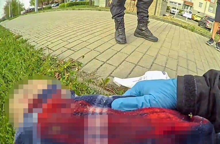Kolaps u frekventované silnice: pomohli strážníci městské policie