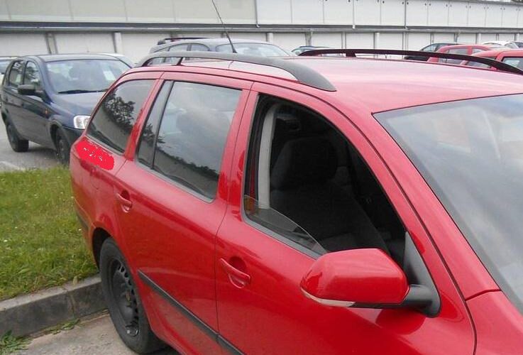 Městská policie radí: Teplé dny nejsou důvodem nechat auto otevřené