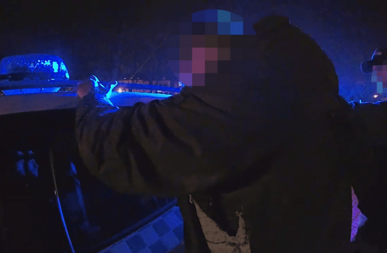 Narušování zákroku strážníků skončilo pro agresora pouty a předvedením na policejní služebnu