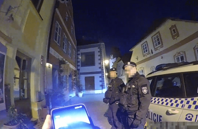 Květinová výzdoba nevydržela noční tah podnapilého muže. Zasahovala hlídka městské policie
