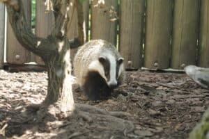 2021_07_08_IMG_0536