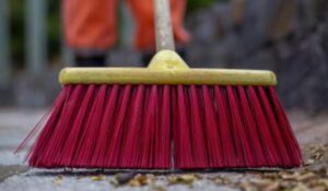 mauriciomonteirofranca-broom-6310388