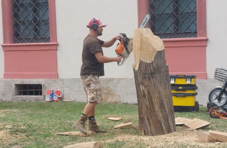 Před areálem Zoo Hluboká začalo Dřevosochařské sympozium. Potrvá až do soboty