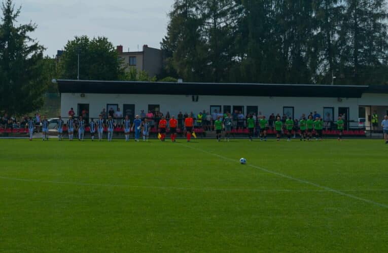Dynamo zvítězilo nad rezervou Příbrami 2:0