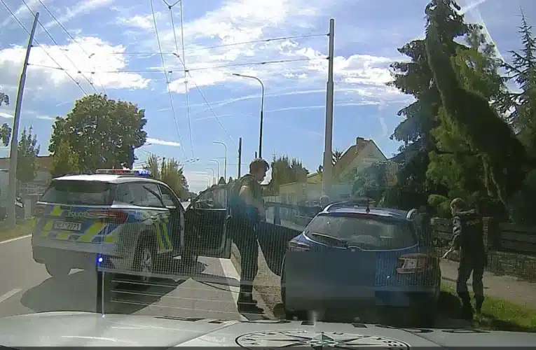 Perfektní spolupráce jihočeských policistů