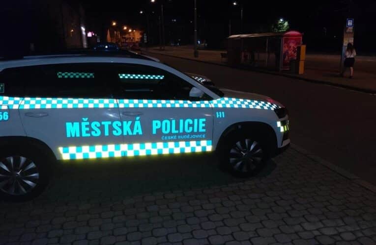 Společná akce hlídek městské policie s revizory přinesla i dvě hledané osoby
