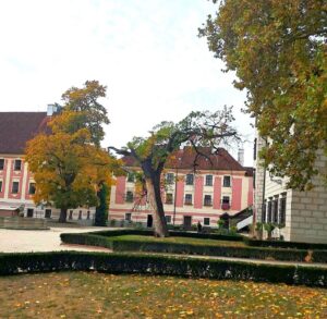 dub trebon 9
