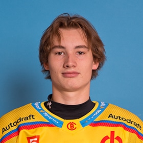 Roman Vráblík